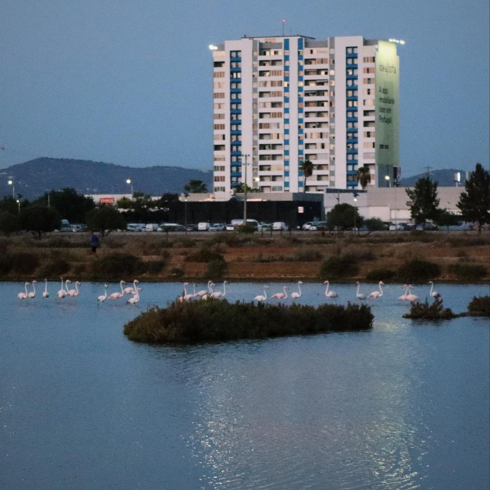 Sea View Apartment District de District de Faro Extérieur photo